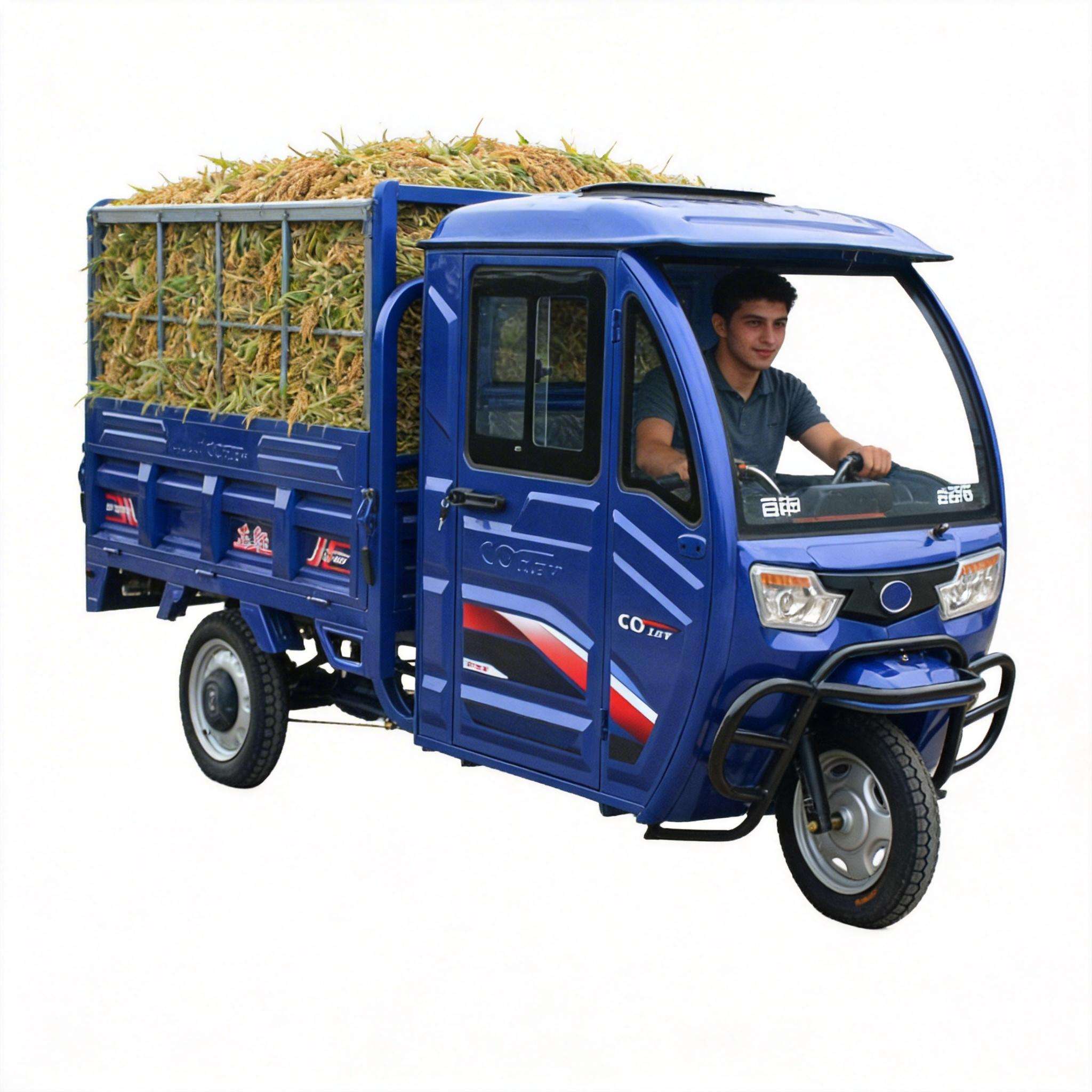 Cargo Vehicle Electric Trike E - đánh giá và giá Home Improvement Fence