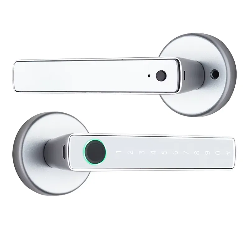 YMC Keyless Electronic Interio - đánh giá và giá Door Handle